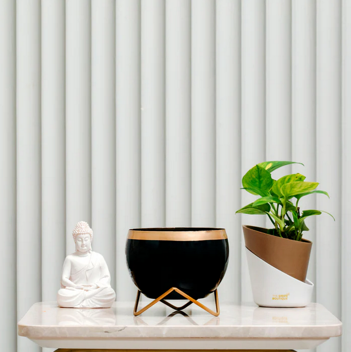 Black Golden Lining Metal Pot With Zig Zag Pot