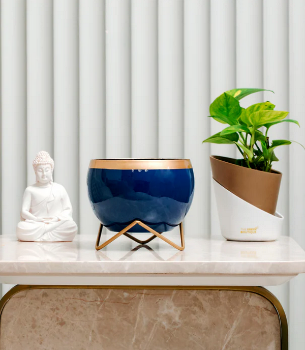 Golden Lining Royal Blue Metal Pot with Zig Zag Stand