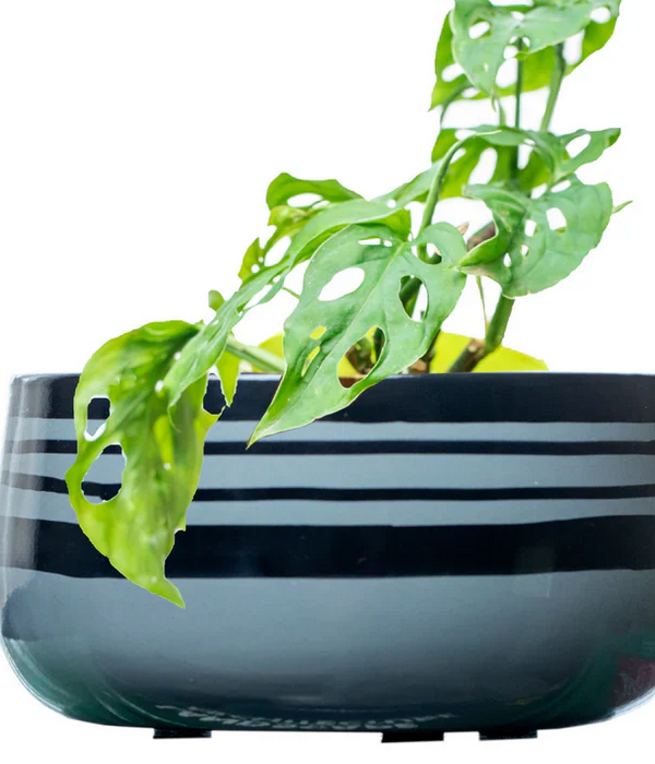 Grey Black Handi Metal Pot