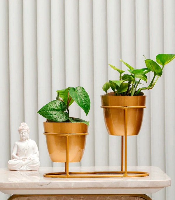 High Low Golden Metal Pots