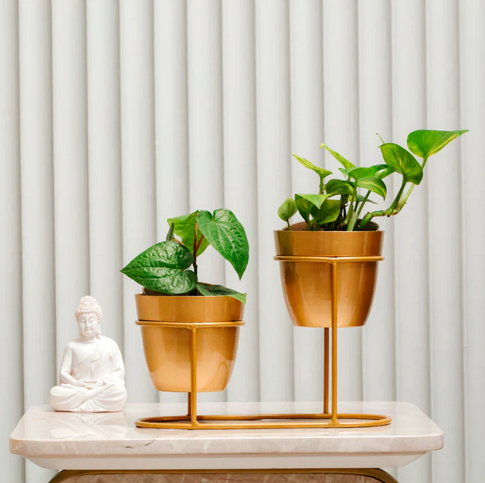 High Low Golden Metal Pots
