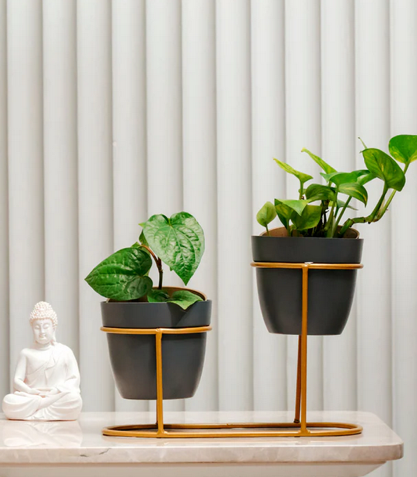High Low Grey Metal Pots
