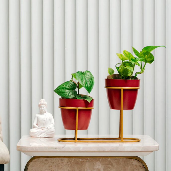 High Low Red Metal Pot