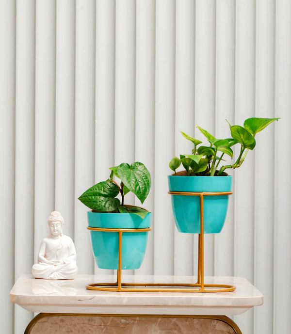 High Low Turquoise Metal Pots