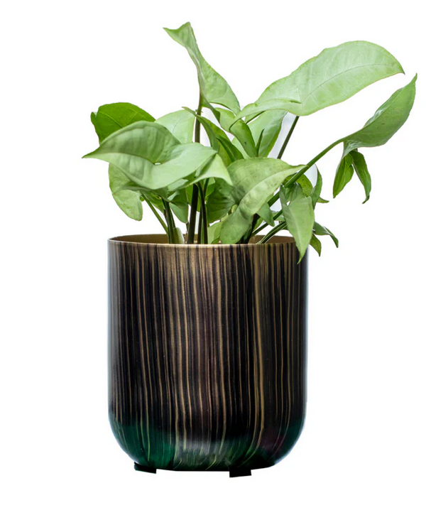 MP Black Hori Pot (without plant)
