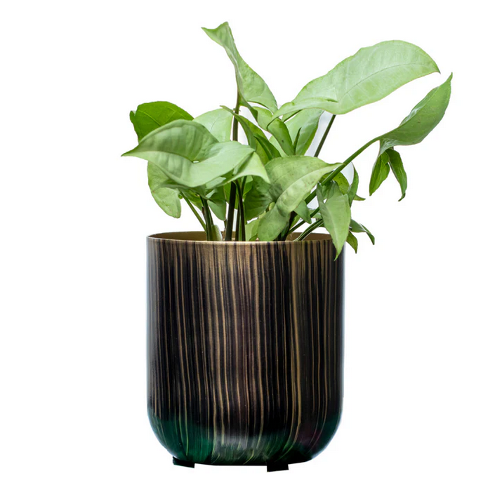 MP Black Hori Pot (without plant)