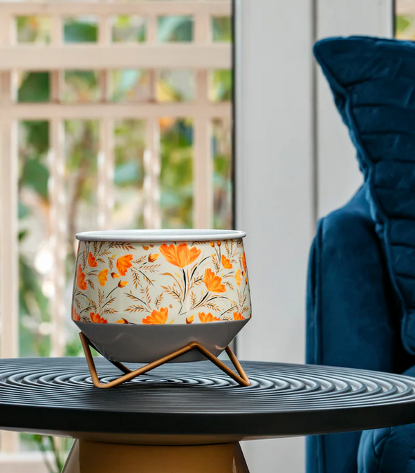 Orange Tulip Coconut Metal Pot