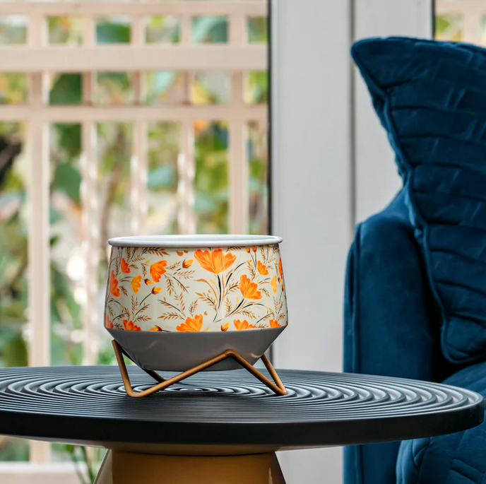 Orange Tulip Coconut Metal Pot