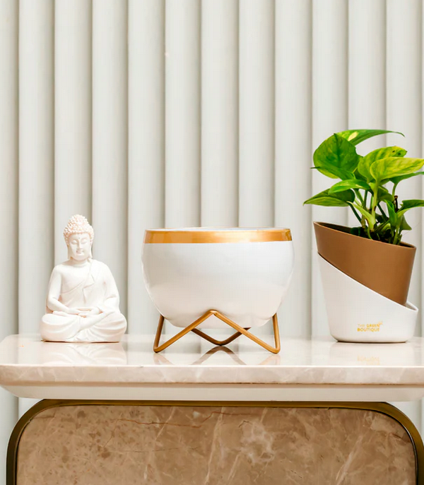 White Golden Lining Metal Pot With Zig Zag Stand