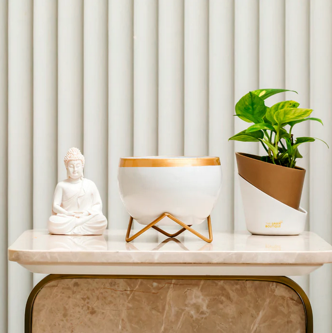 White Golden Lining Metal Pot With Zig Zag Stand